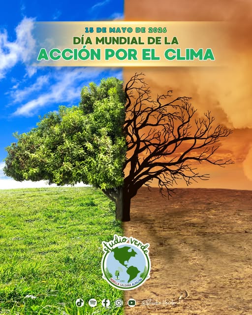 15 de mayo – Día Mundial de la Acción por el Clima